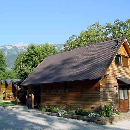 فندق Glamping Virje بوويتش المظهر الخارجي الصورة